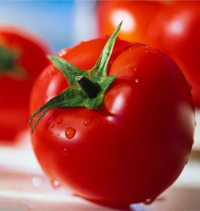 Fungsi dan Manfaat Buah Tomat