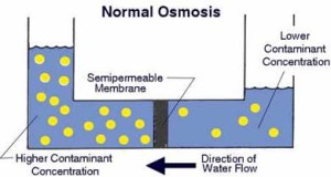 Pengertian Osmosis dan Fungsinya